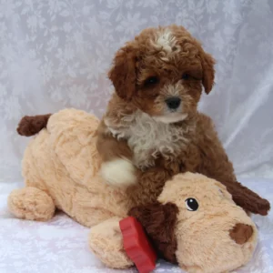 Sibling Scented Heartbeat Puppy Pal